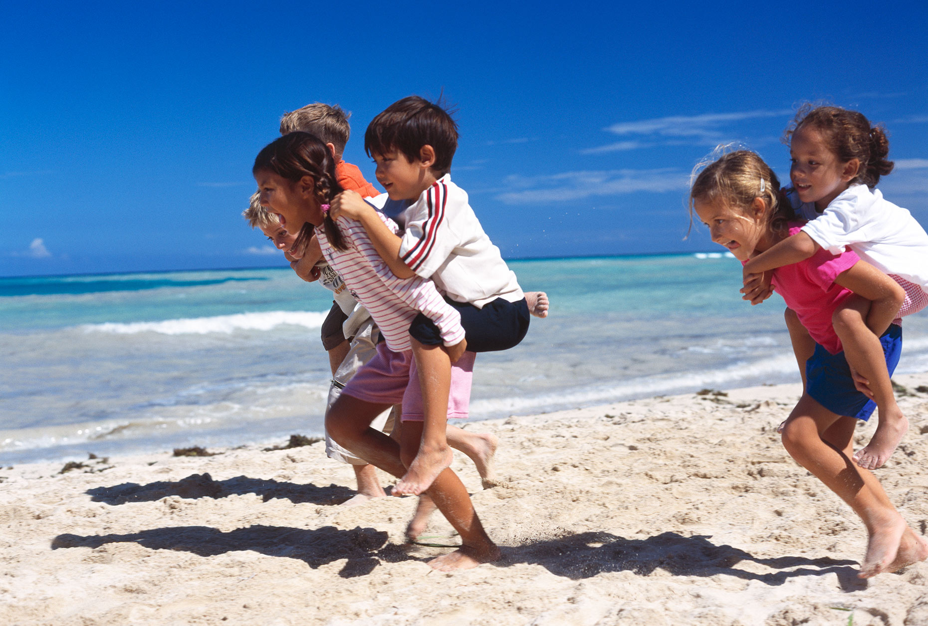 BeachPiggyBack